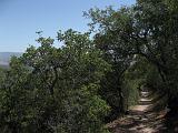 Pinnacles NM 09